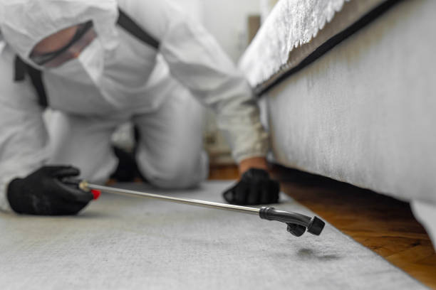 Professional Termite Control technician working in Wahneta, FL