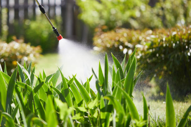 24/7 Emergency Termite Control experts in Wahneta, FL